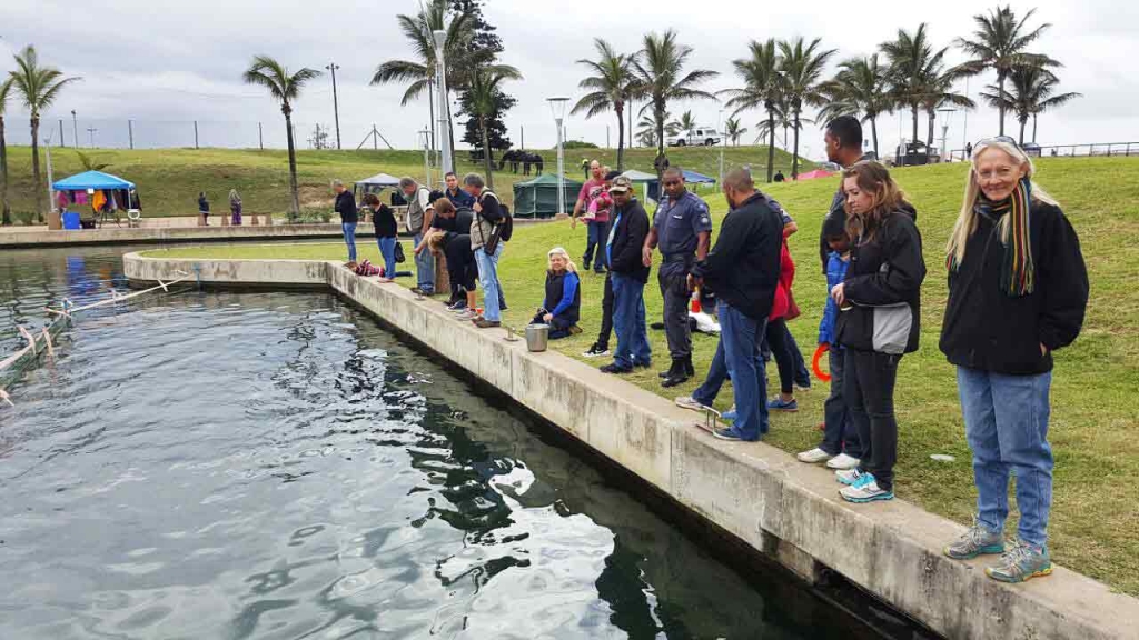 Winter Festival Durban Point Waterfront 2016